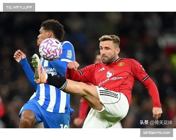 专家看好水晶宫2-1布莱顿，主场优势成关键因素